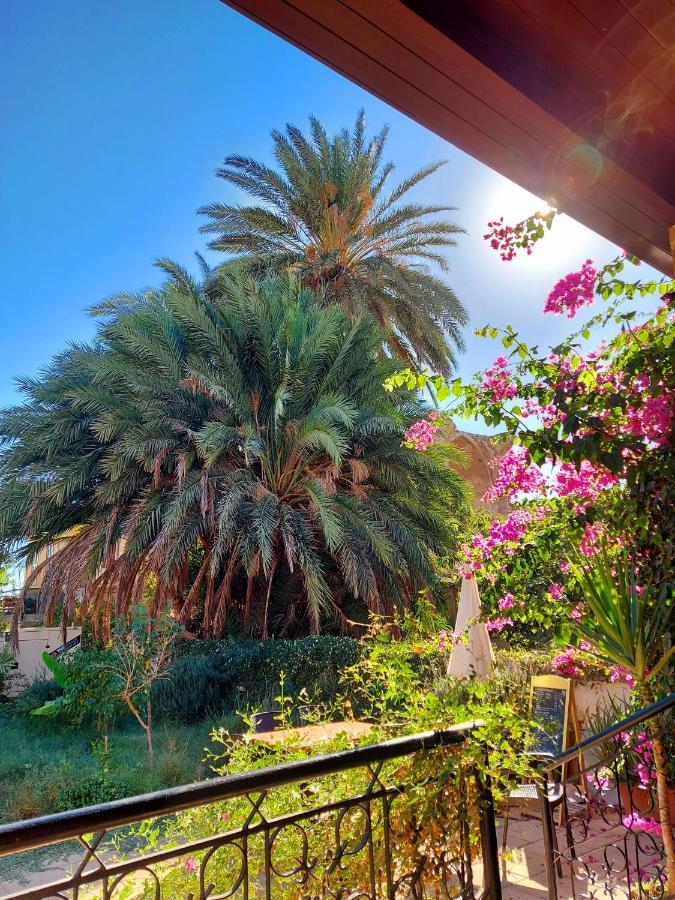 Golden Palms Guest House & Cafe 파마구스타 외부 사진